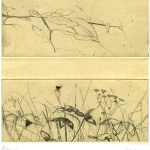 Les Herbes