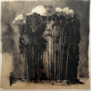 Arbres, nuages