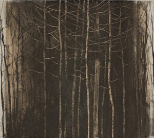 Arbres - Hiver