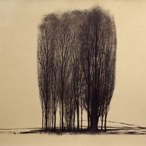 Groupe d'Arbres