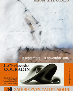 Affiche IsSa + JeCo 2014