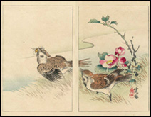 Couple de moineaux et camélia