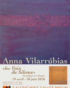 Affiche AnVi 2014
