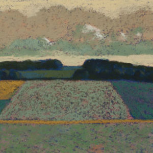 Champs - Lomagne