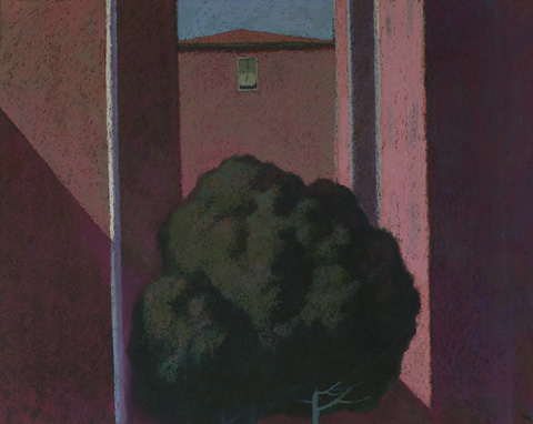 Façade, arbre
