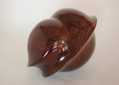 K63_Cocobolo du Mexique