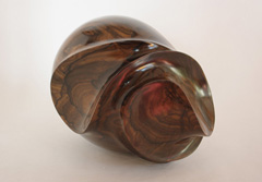 L32_Ziricotte (Mexique)