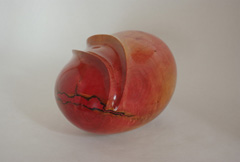 M58_Pink Ivory