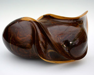 Sb071 - Gaïac (aubier)