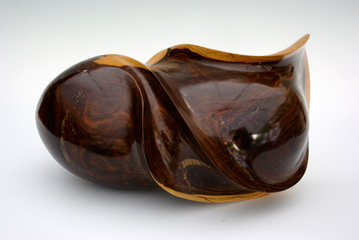 Sb071 - Gaïac (aubier)