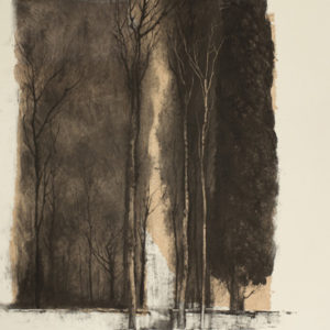 Jardin d'hiver