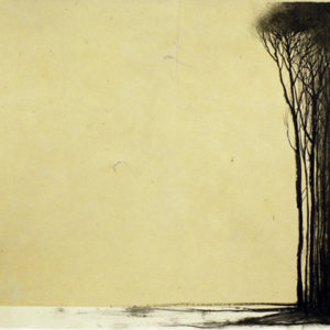 Lisière - Hiver