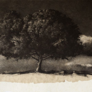 l'Arbre et les nuages