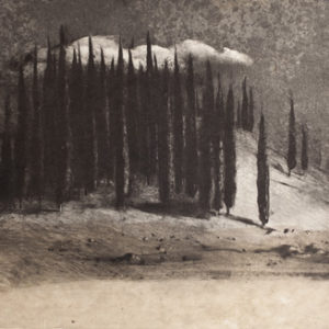 Cyprès, nuage - Delphes