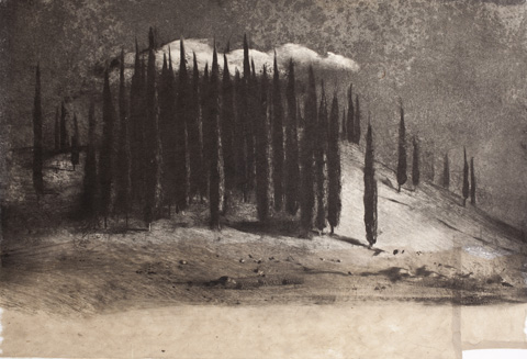 Cyprès, nuage - Delphes