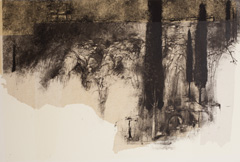 Cyprès, Delphes