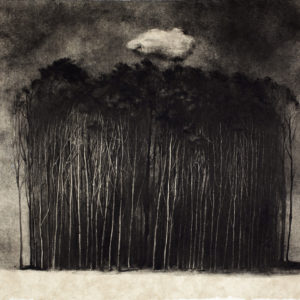 Groupe-d'arbres-et-nuage