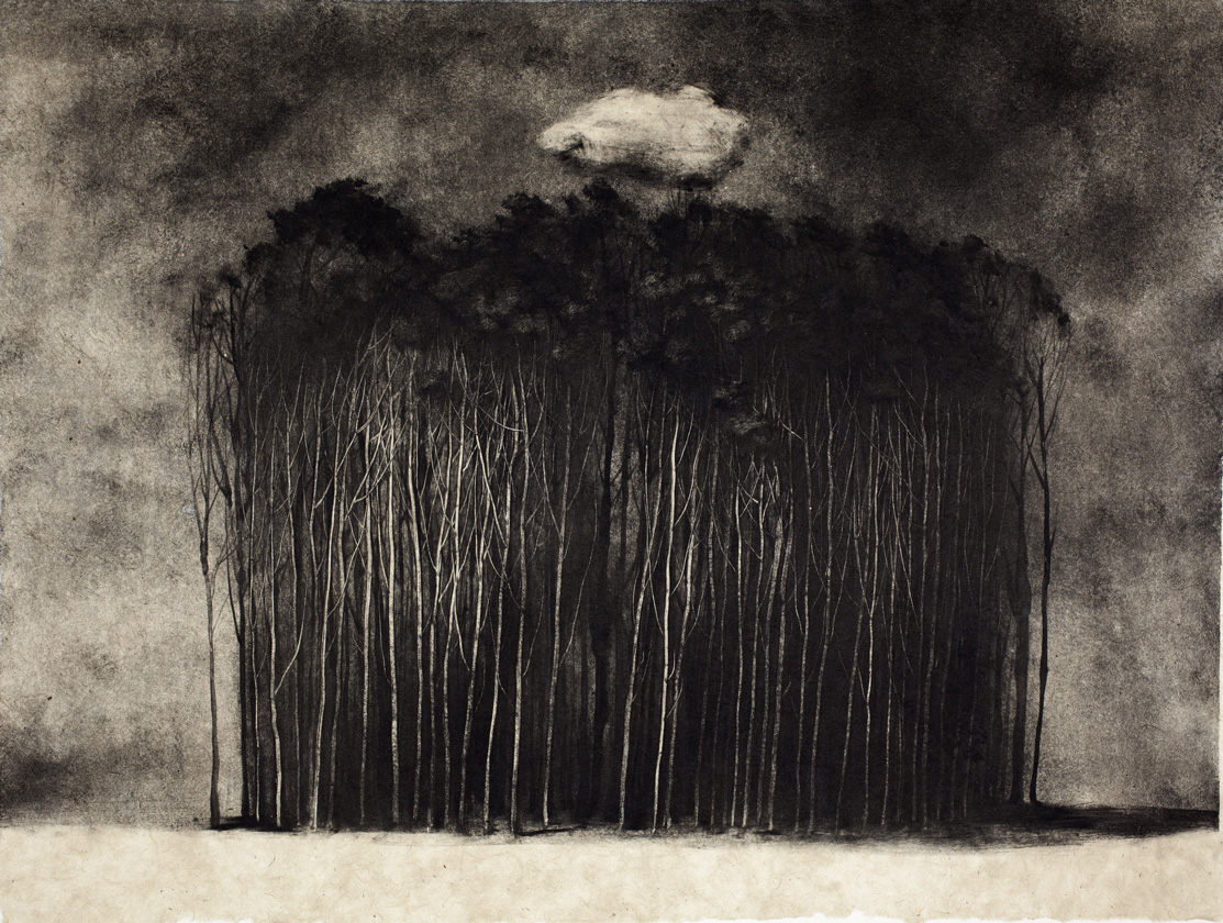 Groupe-d'arbres-et-nuage