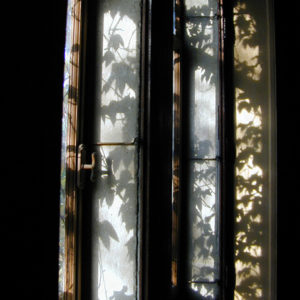 Automne à la fenêtre