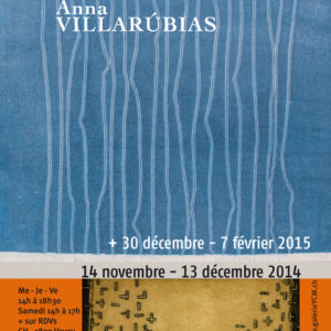 Affiche AnVi 2014