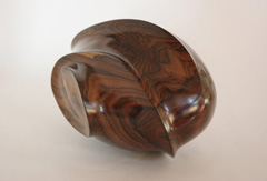 J24_ Ziricotte du Mexique