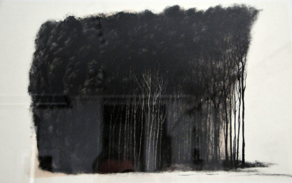 Bosquet chevelu
