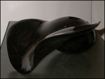 Raie Manta G72