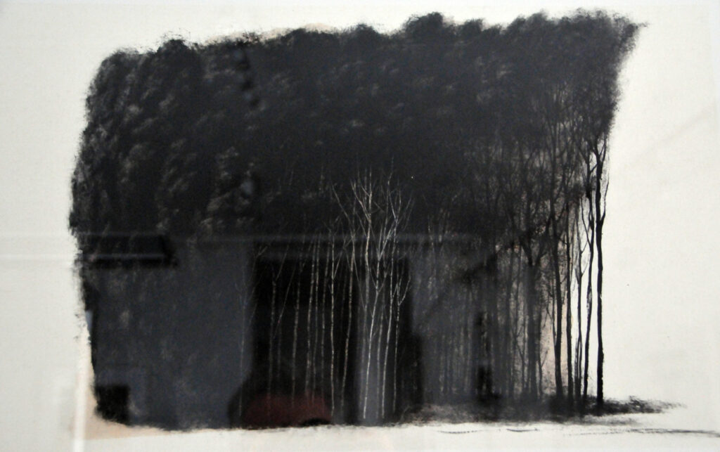 Bosquet chevelu