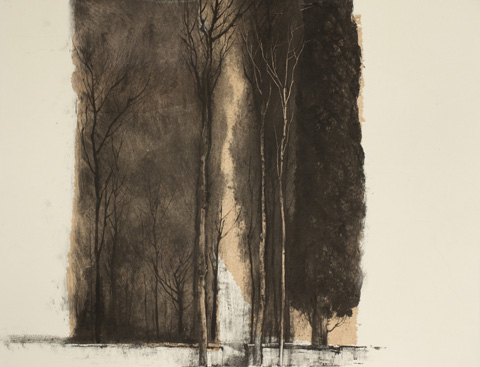 Jardin d’hiver