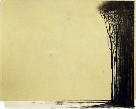 Lisière – Hiver