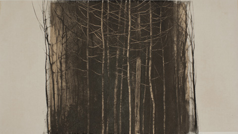 Arbres – Hiver