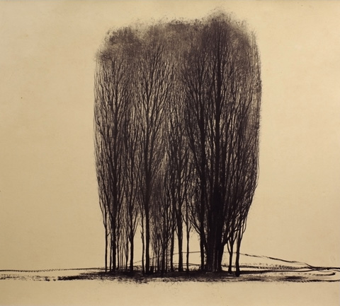 Groupe d’Arbres
