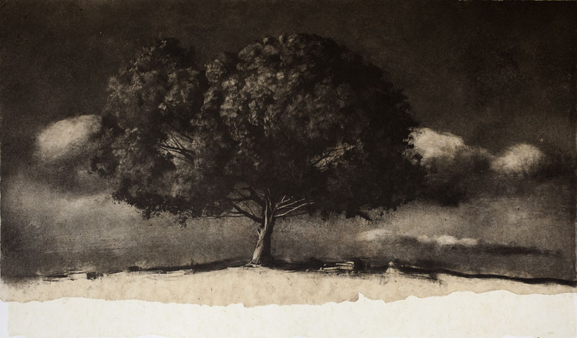 l&rsquo;Arbre et les nuages