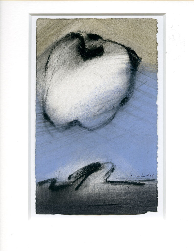 Fruit I /bleu