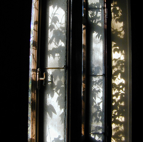 Automne à la fenêtre