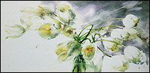 Les Tulipes blanches 3