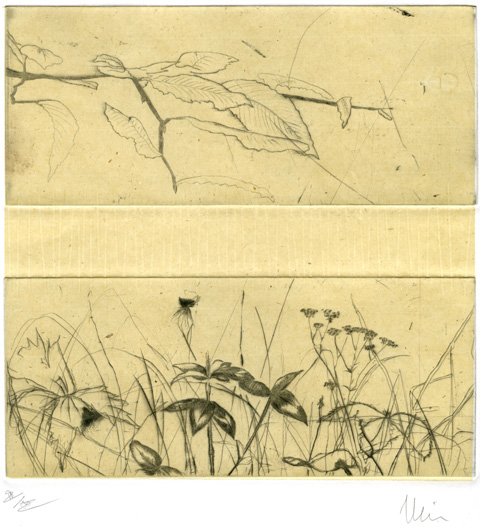 Les Herbes